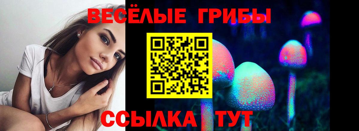 Псилоцибиновые грибы Psilocybe  Вход с VPN  Галлюциногенные грибы GOLDEN TEACHER  Лесосибирск 